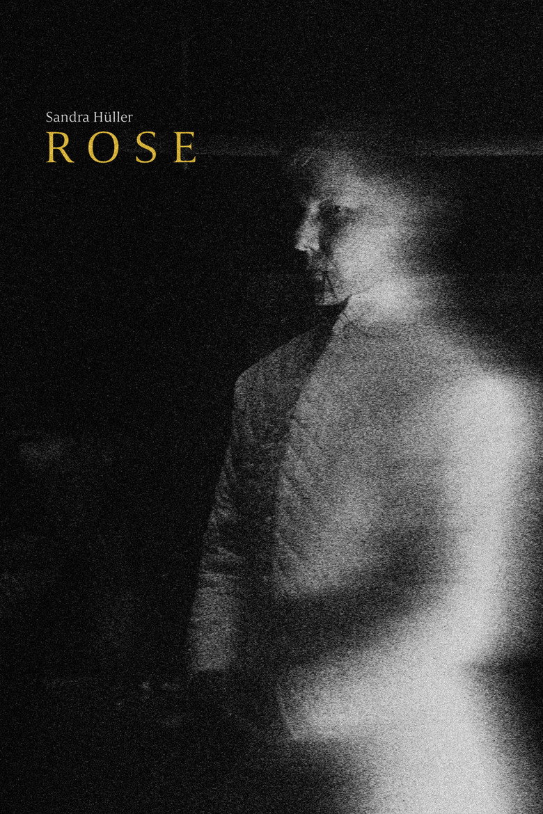 Imatge de Rose