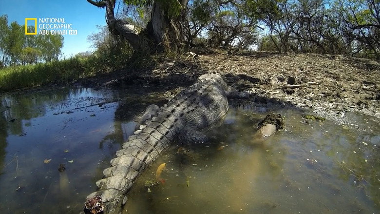 Crocpocalypse galeri 2