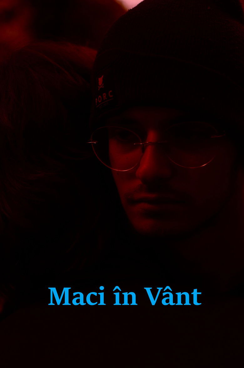 Imatge de Maci în Vânt