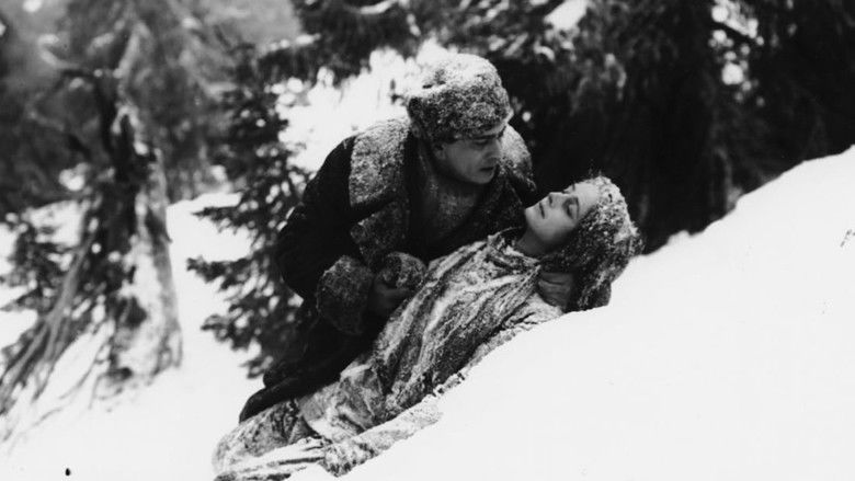 Image d'arrière-plan 1 du film Stormfågeln