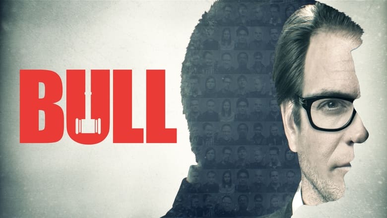 Bull (2016)