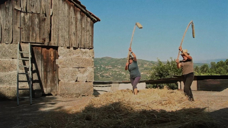 Gallery image from eThHi7zTZvZKng3YdETWuLyQtCO.jpg