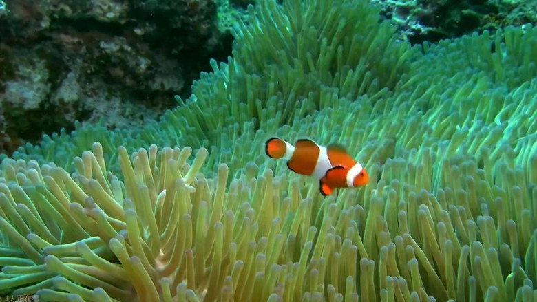 Virtual Trip Diving View galeri 1