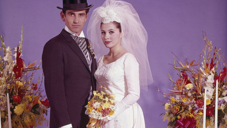 Gallery image from eU2tzdRy41XFZMwatFVWV17d66s.jpg