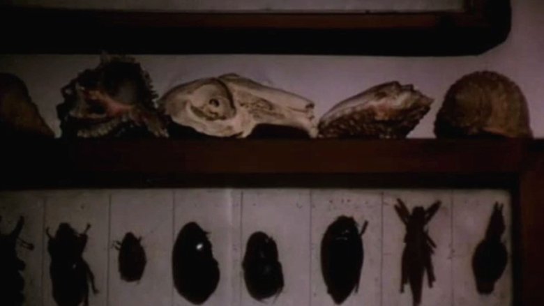 Alice (1988)