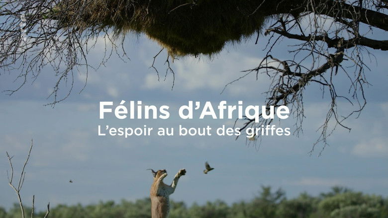 Still image for Chats et chiens sauvages season 1 episode 1: Episode 1