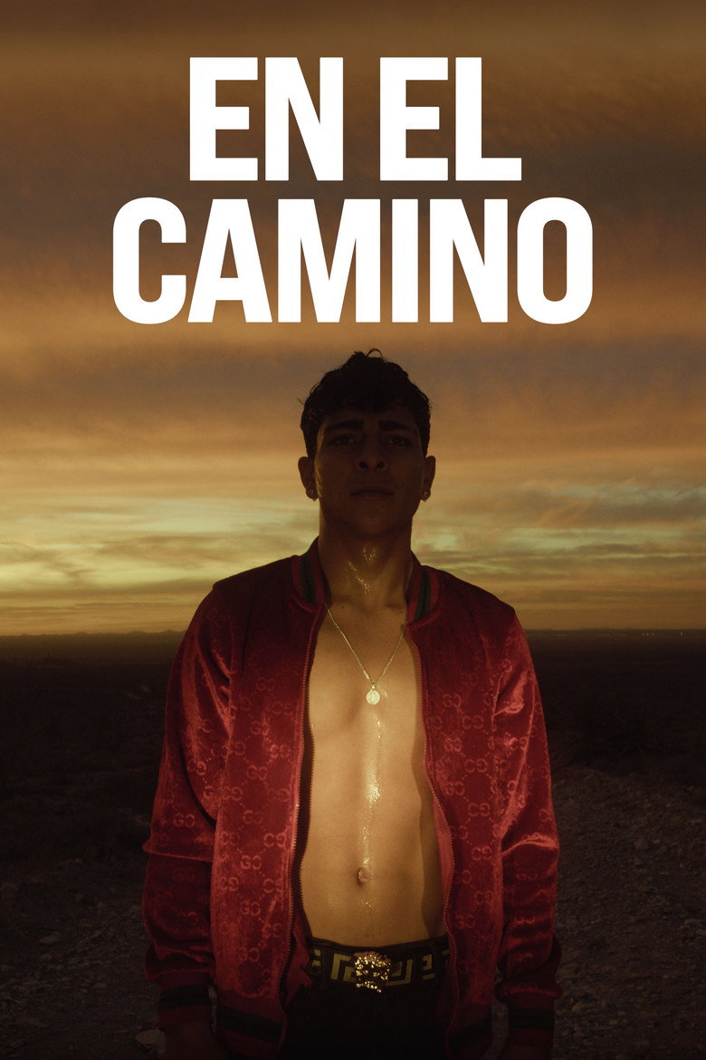 Póster la Película
