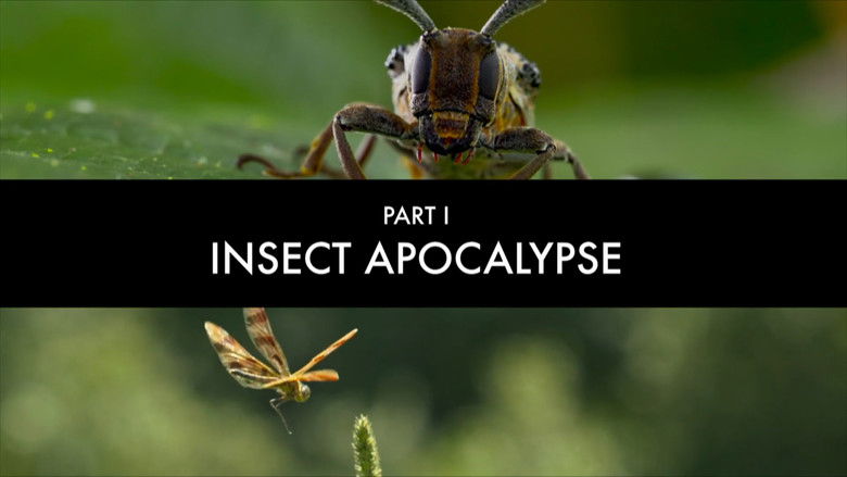 Still image for Bugs That Rule the World season 1 episode 1: Insect Apocalypse? Still image for Bugs That Rule the World season 1 episode 1: Insect Apocalypse?