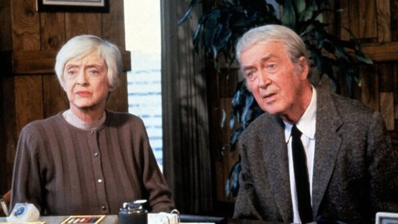 Imatge de El dret d’escollir