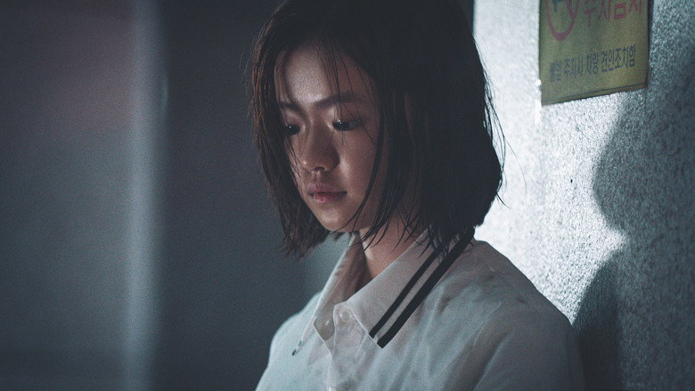 비광