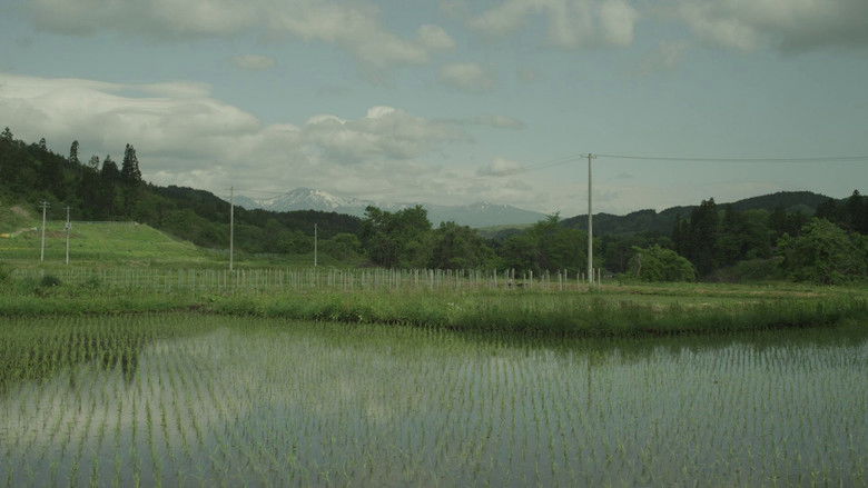 Image d'arrière-plan 3 du film Little Forest: Winter/Spring