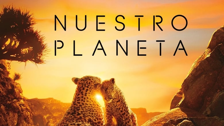 Gallery image from eWpS3A40Ra3fYbt1OYu8IrutIyk.jpg