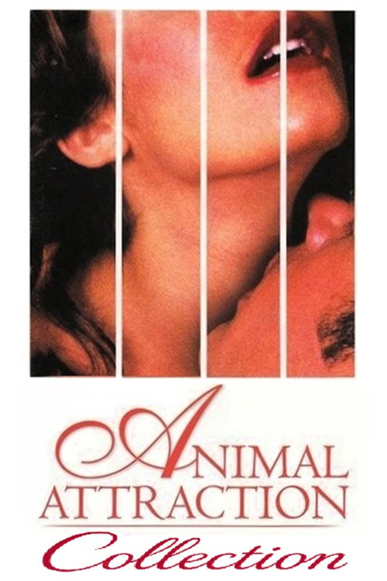Постер коллекции Animal Attraction Collection