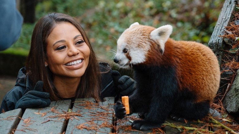 Still image for Inside Longleat season 1 episode 3: Episode 3