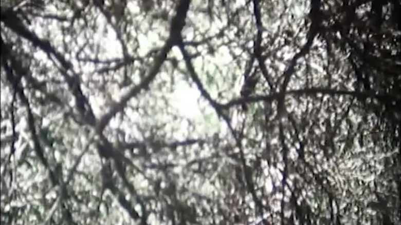 Gallery image from eZ1QjMvEFPLnHPwCowInDsXf4Fw.jpg