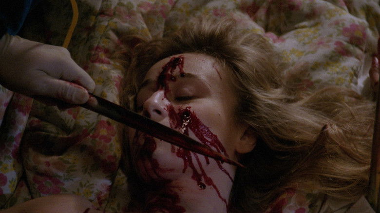 Imatge de L'assassino è ancora tra noi