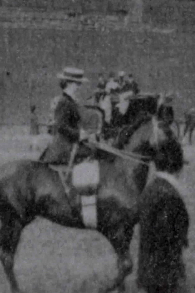 Imatge de Ladies' Saddle Horses