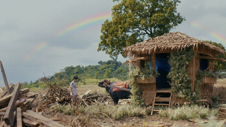 Film backdrop