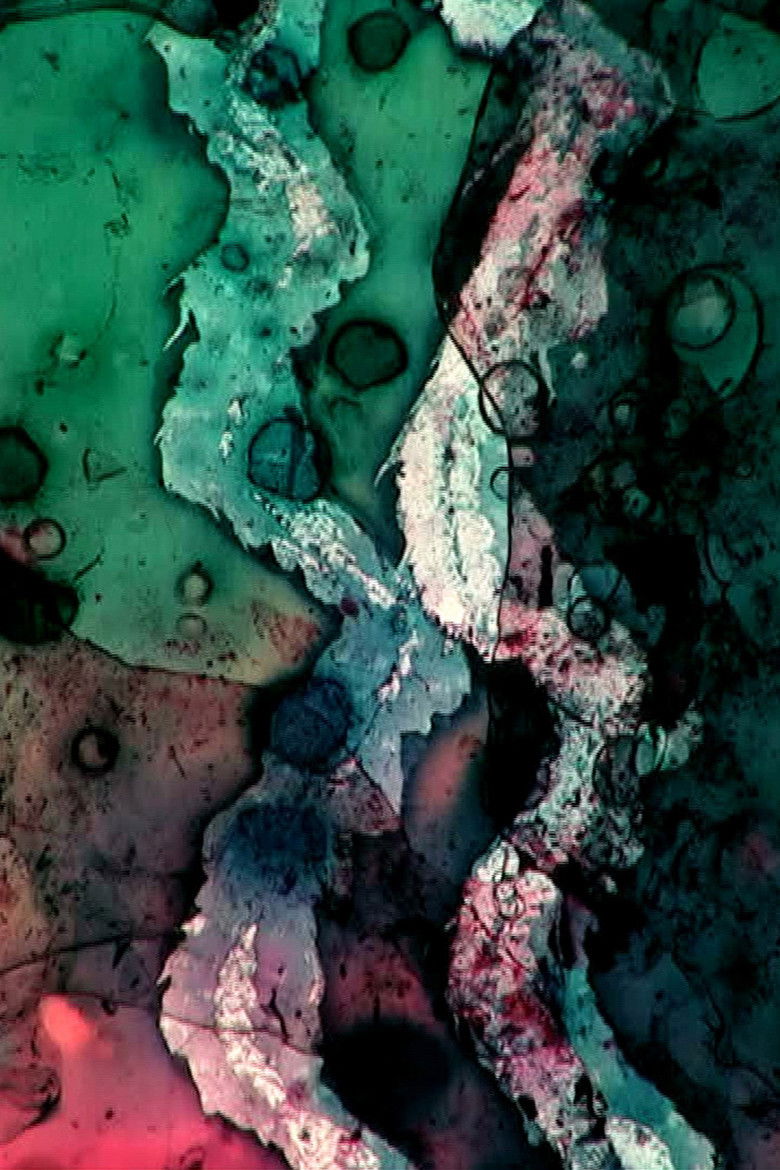 Imatge de 恋愛の大饗宴