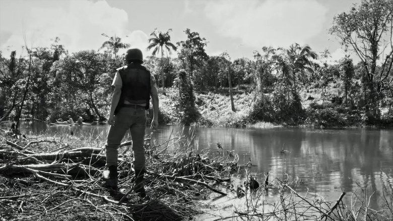 Gallery image from eay0iIyeuFlt0e8jjHYO4BZiTA6.jpg