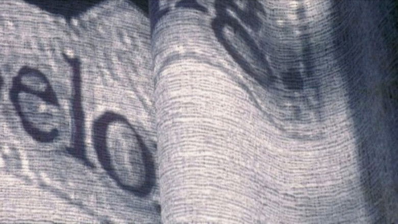 Gallery image from ebdBkiNo9o06CjwdiMfl3YnKx46.jpg