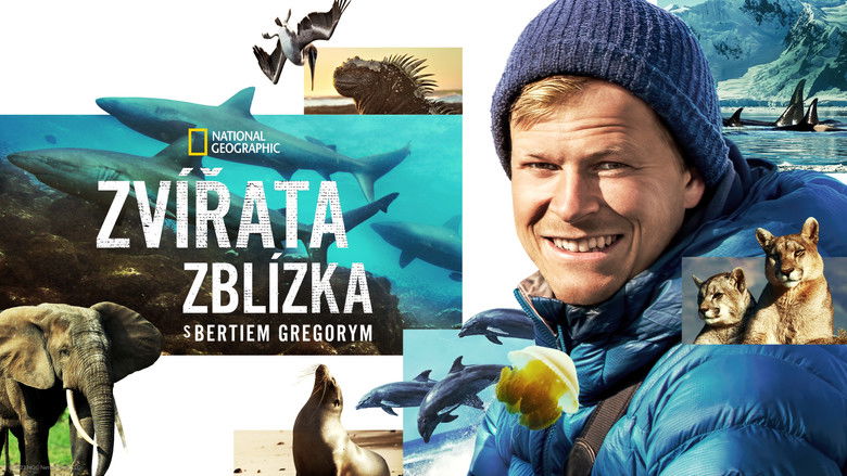 Gallery image from ebpdEhY6vCav3QfCeUjVMyB7JRG.jpg