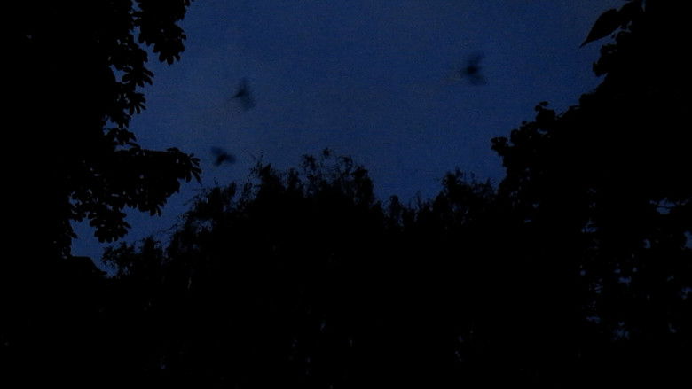 Les oiseaux de l'Est (2025)