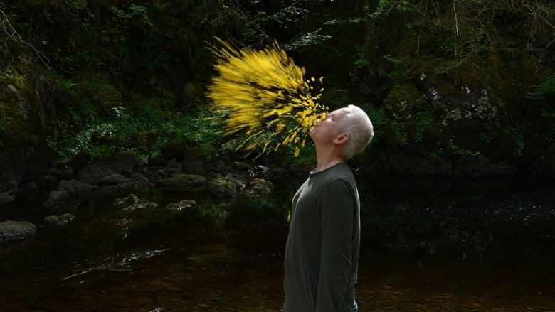 Leaning Into the Wind: Andy Goldsworthy