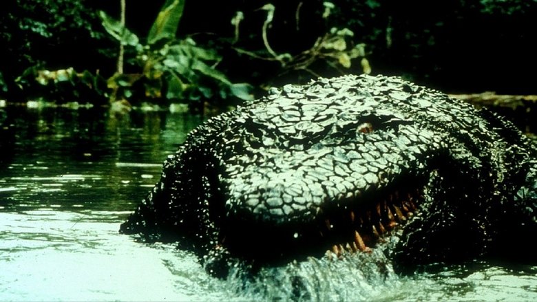 Regarder Film Killer Crocodile II Gratuit en français