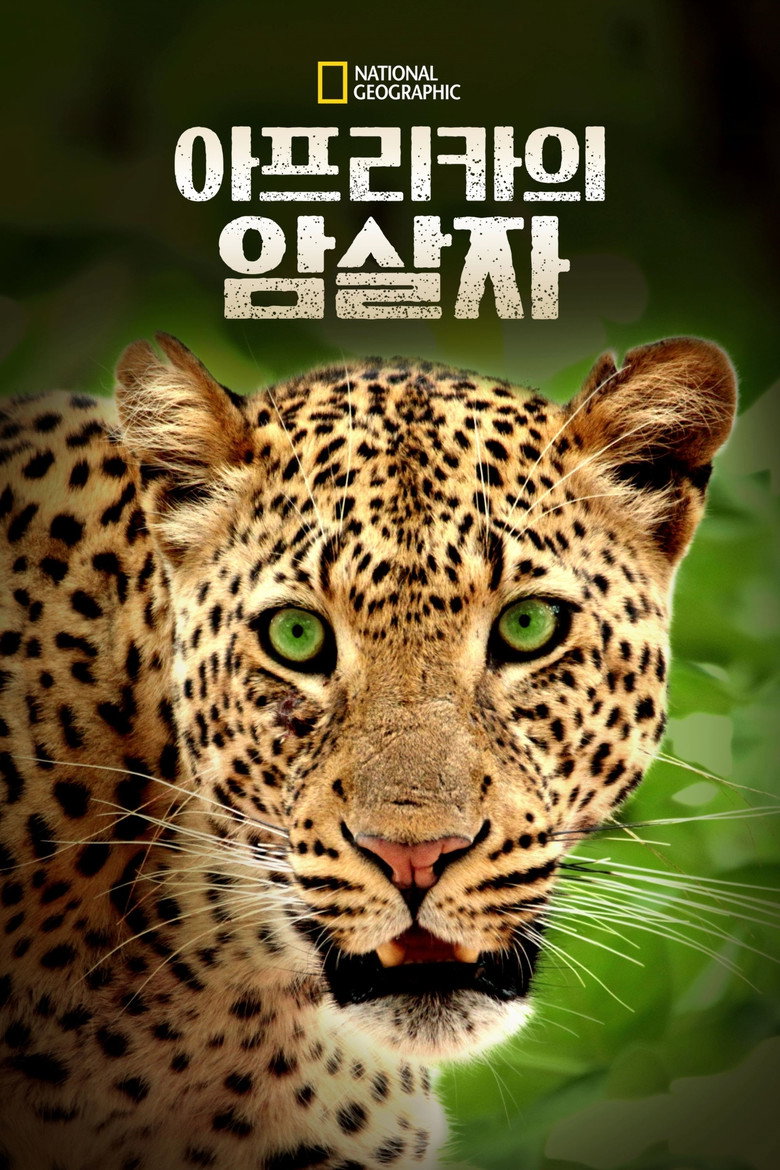 아프리카의 암살자