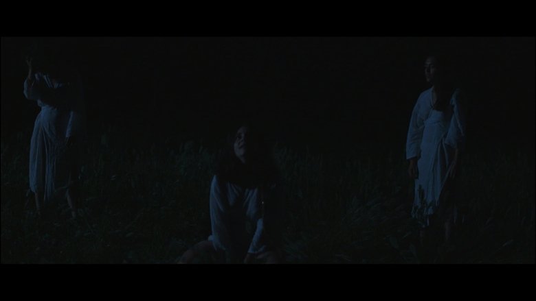 Gallery image from eeFbun7JzOsk7eP0CxOdcWXwQzV.jpg