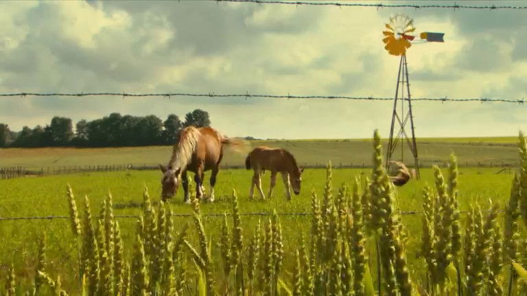 Still image for If I Were an Animal season 1 episode 51: If I Were a Farm Animal Still image for If I Were an Animal season 1 episode 51: If I Were a Farm Animal