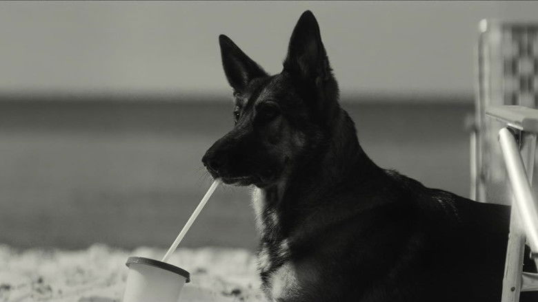 Efffkyn0vkvblare6uughepsibj