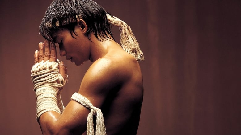 Ong Bak Collection