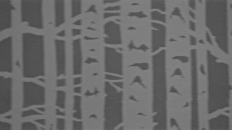 Gallery image from efiuJvNq3rleNilsBPtDJqkJ9Ok.jpg