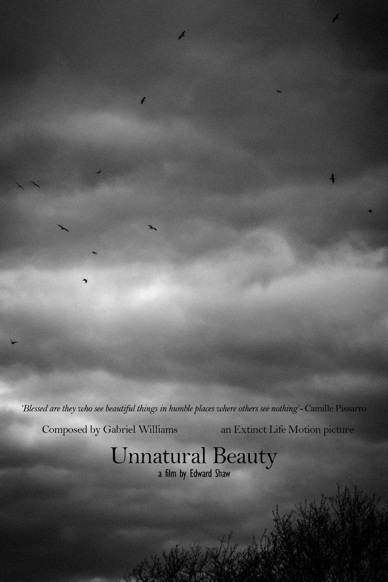 Unnatural Beauty background