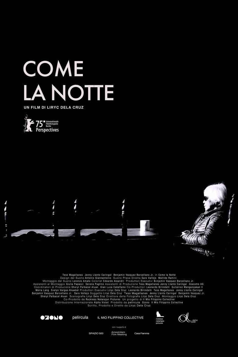 Come la notte (2025)