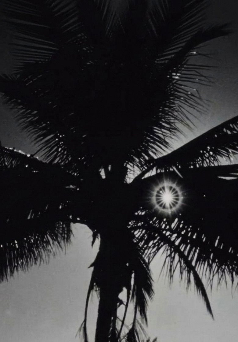 Imatge de Street Film Part V