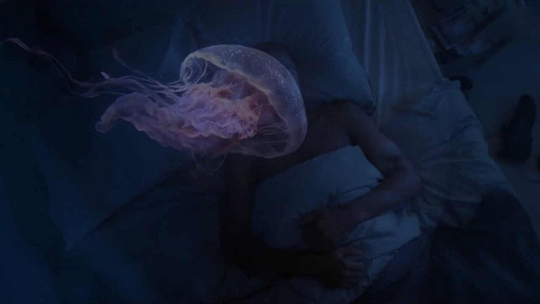 Un si grand soleil Saison 8 Épisode 53 Voirfilms