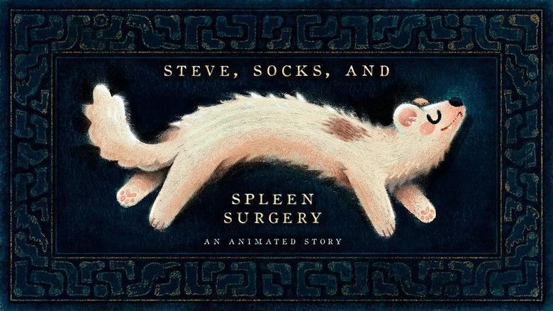 Steve, Socks, and Spleen Surgery