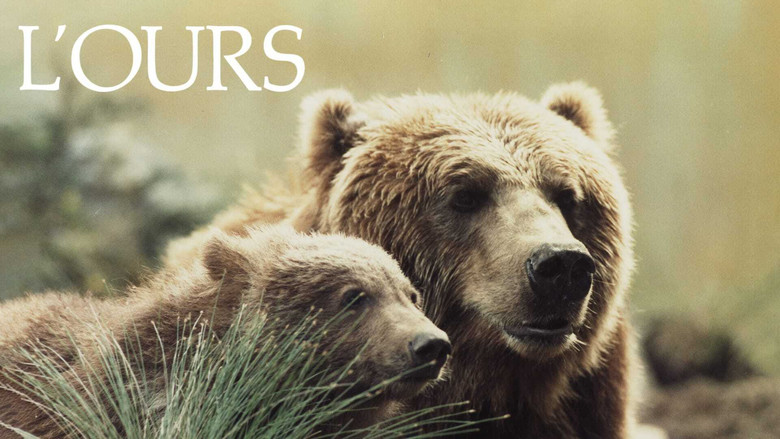 The Bear image 12