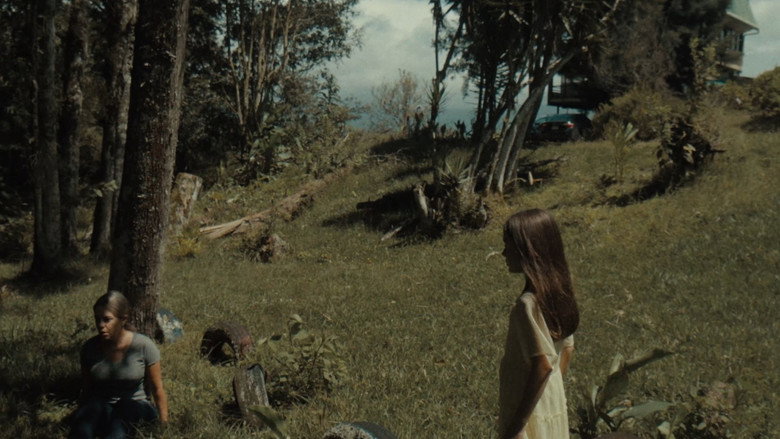 Imatge de Mi Memoria de Ellos