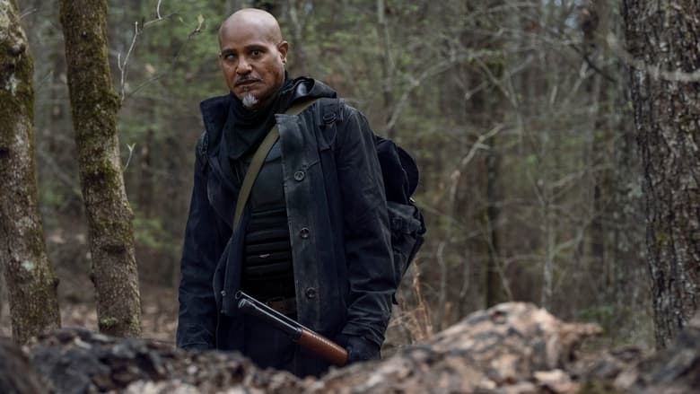 The Walking Dead 11 Parte 3 Uscita