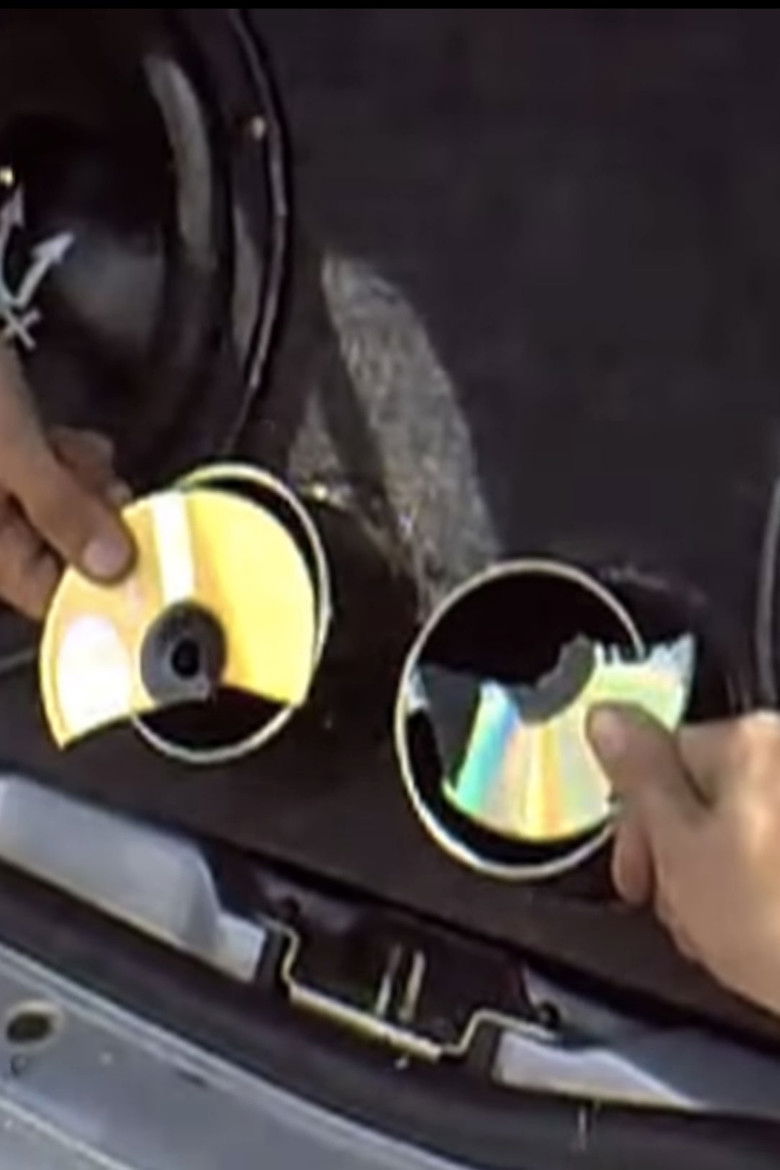 Imatge de The Totaled Angelica