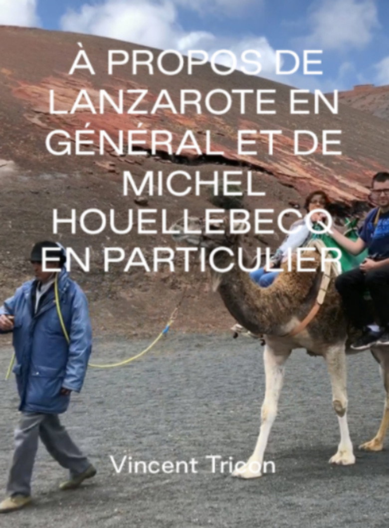 Imatge de A propos de Lanzarote en général et de Michel Houellebecq en particulier