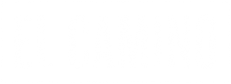 El Camino: A Breaking Bad Movie