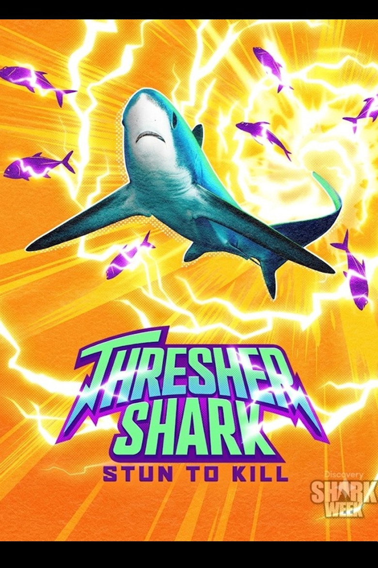 Thresher Shark: Stun to Kill