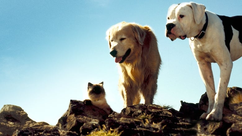 Homeward Bound: The Incredible Journey (1993) YIFY - Download Movies ...