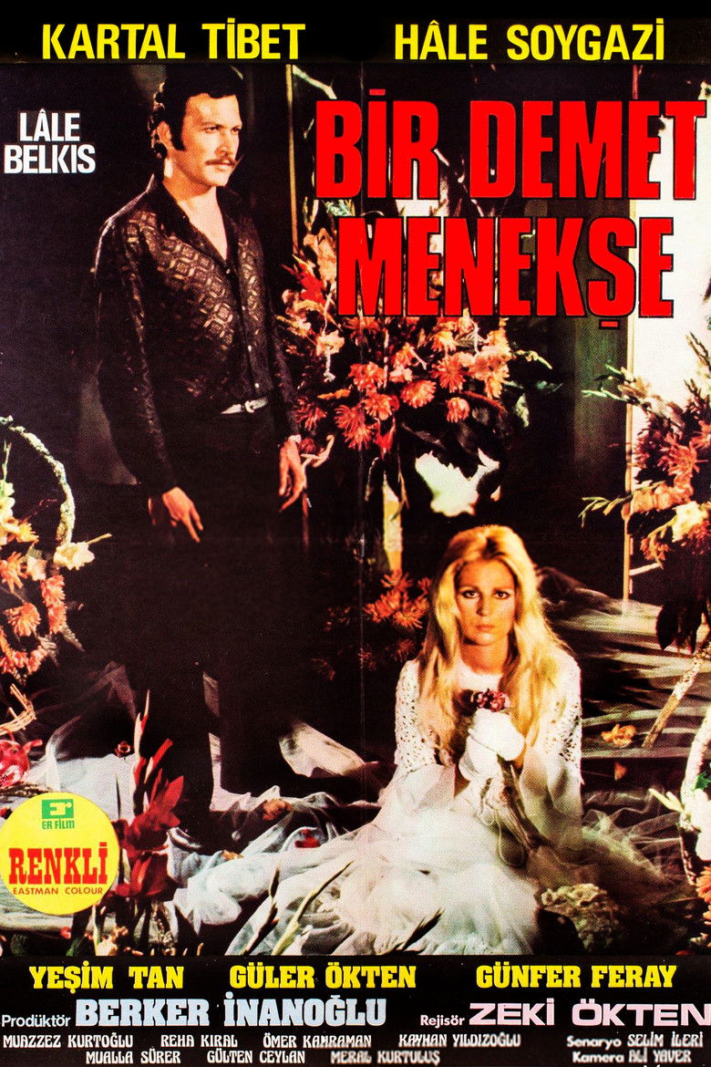 Imatge de Bir Demet Menekşe