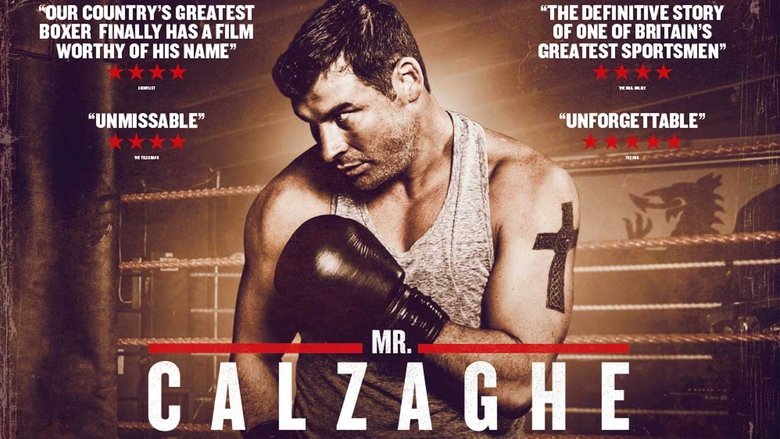 L'histoire de l'ascension du champion du monde de boxe invaincu Joe Calzaghe.